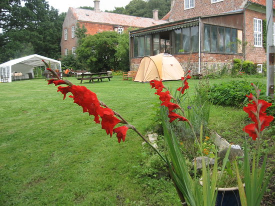 Wiese hinterm Haupthaus