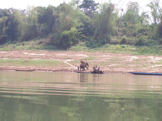 Flusslandschaften 3 / Elefantenbad