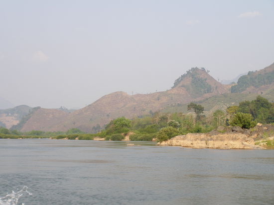 Brandrodung in seiner schlimmsten Form