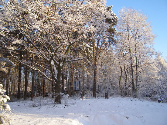 Hier mal ein paar Beweisfotos,