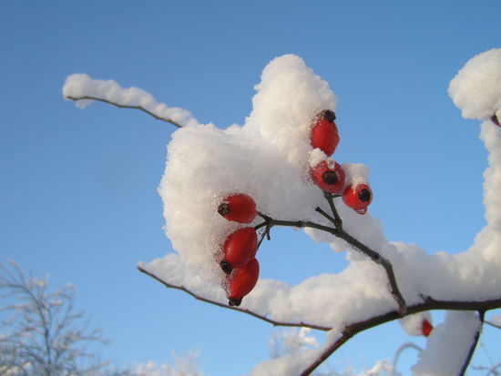 sonst glaubt mir wieder keiner,