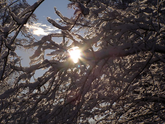 das ich tatsächlich Schnee gesehen habe