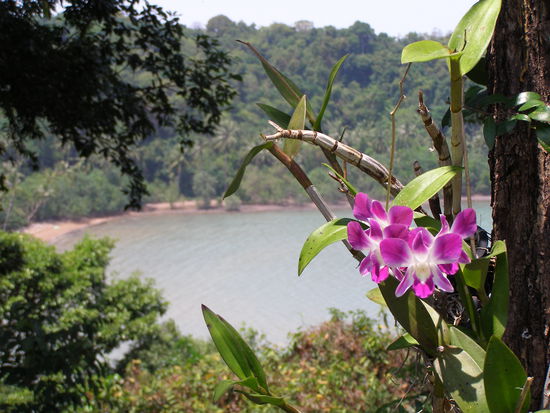 Und ein paar Schoenheiten....