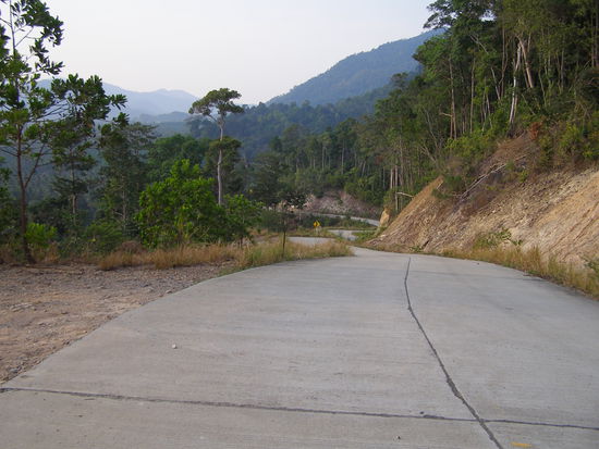 Auf dem Weg zum treehouse am Long Beach