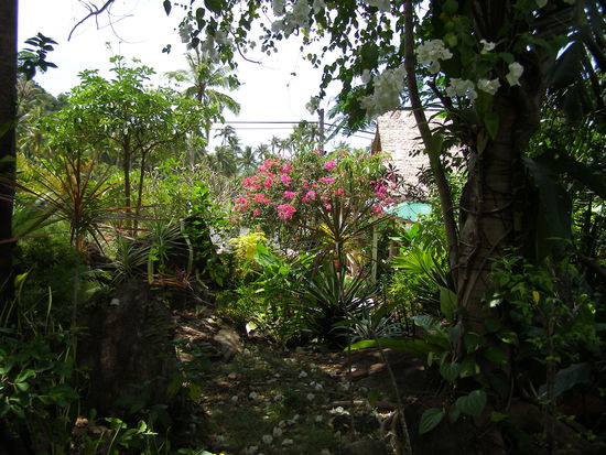 Und das ist meine neue Aussicht von meinem Liegestuhl aus