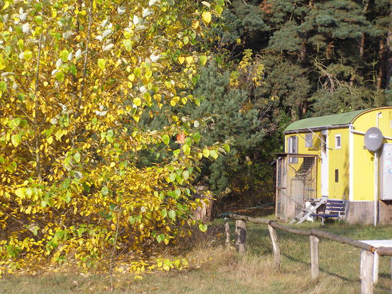 Herbst im Fliegercamp