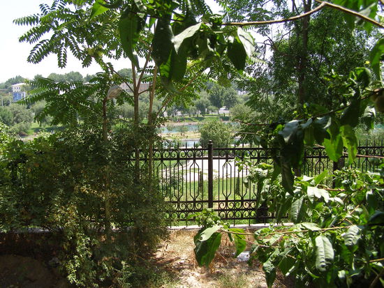 Blick aus dem Fenster