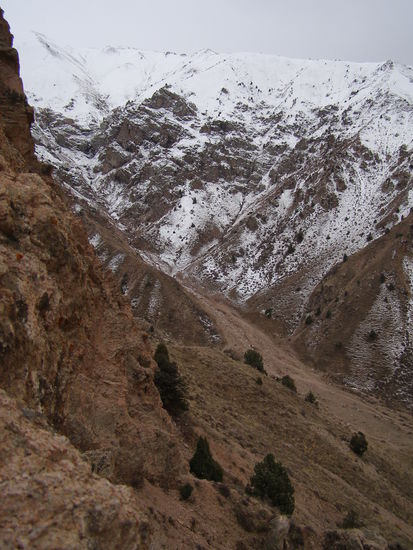 Und ich habe nen Steilhang gefunden. Nicht hoch, nach Aussage der Einheimischen 800 Meter. 