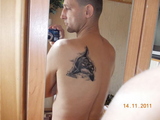 Falls es jemand nicht erkennt, es ist ein "kleiner" Orca.