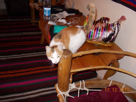 Und mit freundlicher Bewirtschaftung. 