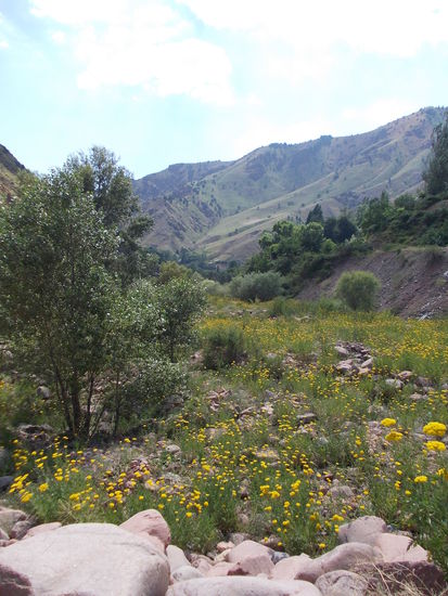 Na? Wieder erkannt? Ja, das ist Yangiabat im Sommer.
