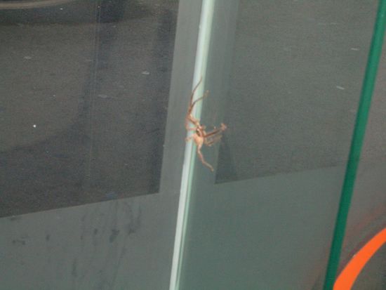 Die 1. Ueberraschung