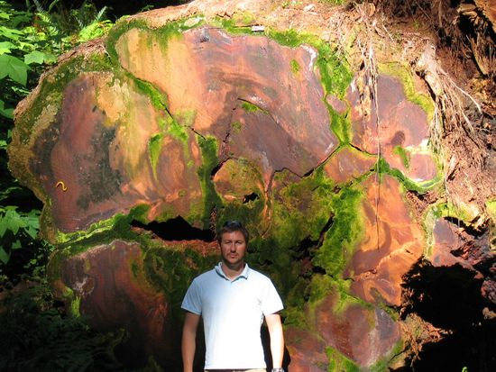 Der war mal soooo gross!