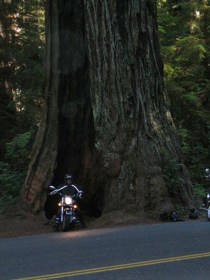 "Ausgestiegen" sind nicht nur wir