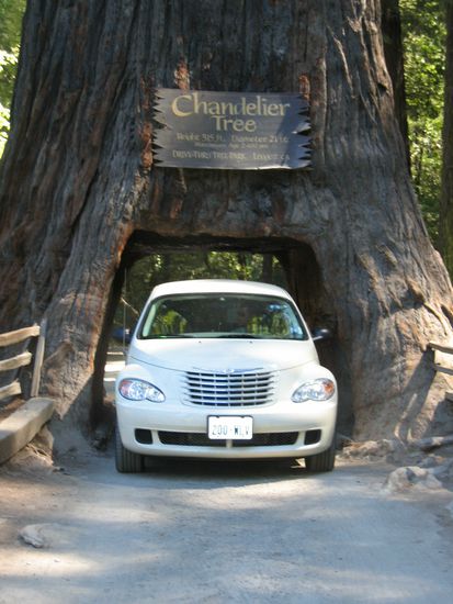 Die Tourifalle von Legget (CA)