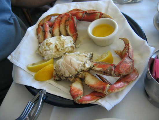 Wir gebens zu: Backpacker de luxe ist toll 