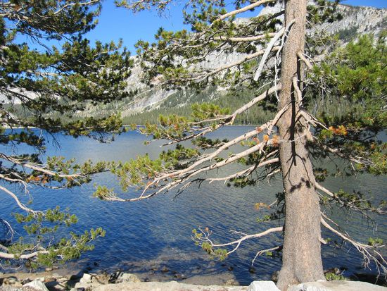 Tenaya Lake