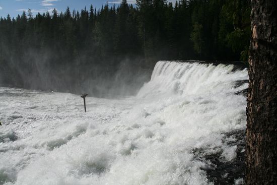 Dawson Falls