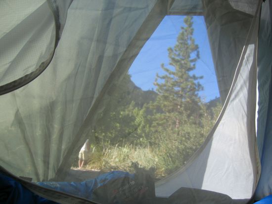 Morgendlicher Blick (ohne Baer vorm Zelt...)