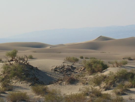 Sand Dunes
