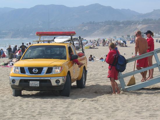 Wo sind Pam und David?