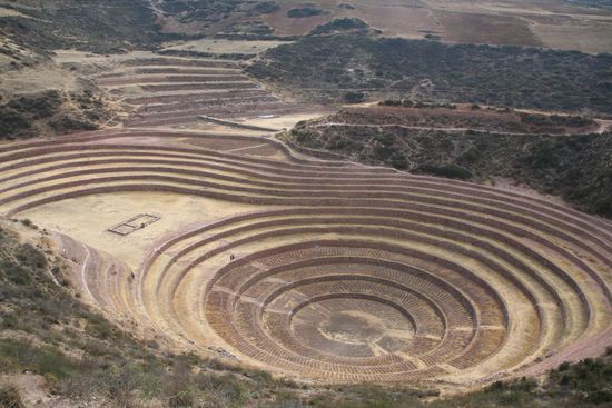 Terassenfelder von Moray