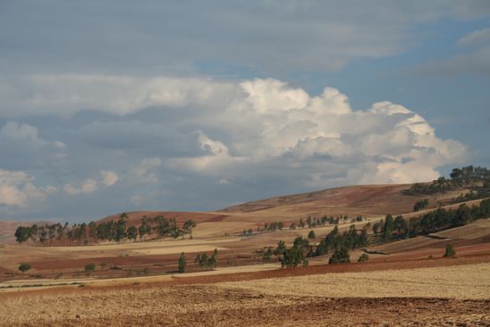 Ist doch ein bisschen Toscanafeeling...