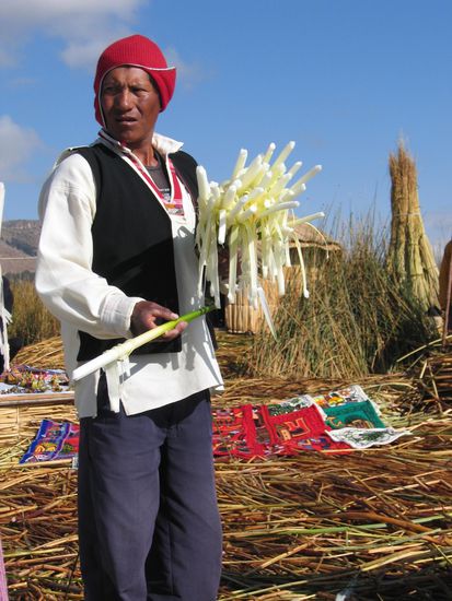 Zur Begruessung erst mal nen Fruehstueckssnack (Schilf ist kalzium- und vitaminreich)