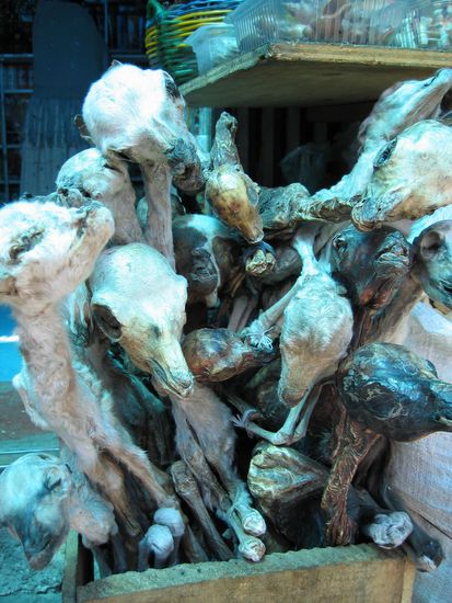 Lamafoeten - puuuhh!!!