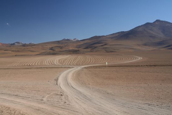 Da konnten sich die Fahrer nicht entscheiden... 