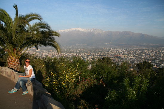 Palmen und schneebedeckte Anden im Osten von Santiago - tolle Kombo!