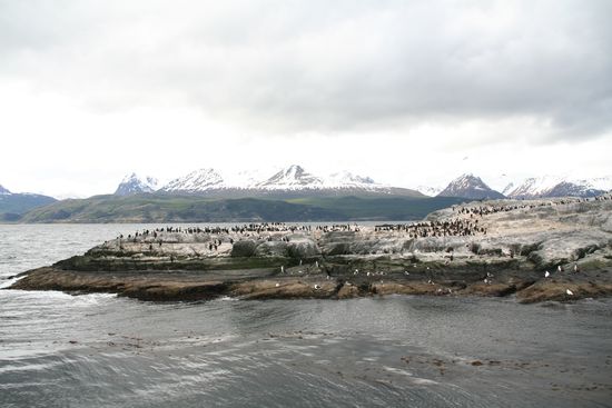 Isla Los Cormoranes