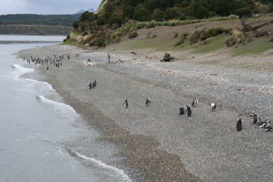Anfang Oktober sind noch nicht so viele hier, aber es sind...