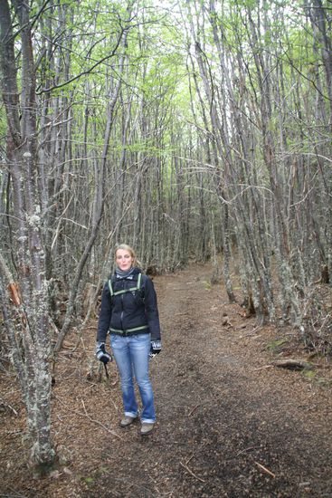 Teil des Beaver Walk in der Tierra del Fuego