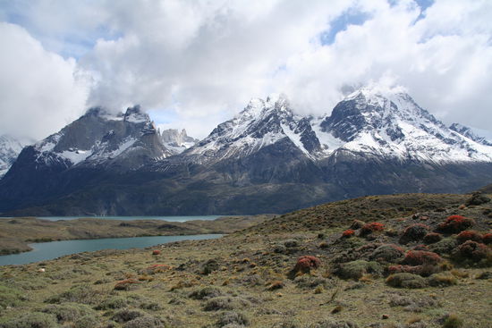 "Ventisquero Torres" - schneebedeckte Tuerme