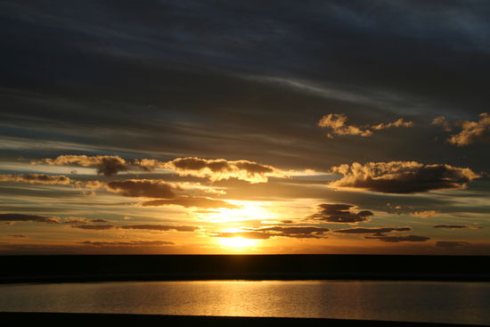 Das bekommt man gratis - und fast jeden Abend...