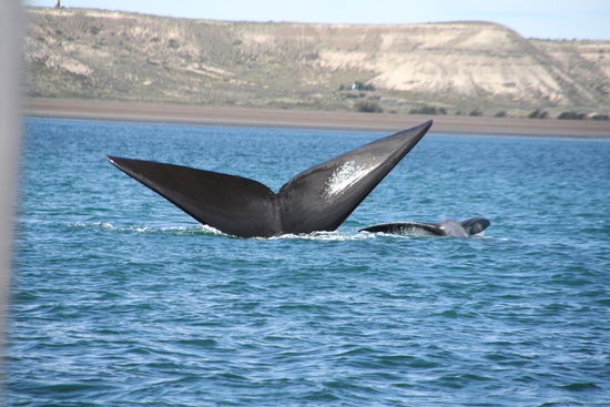 ... mit Kind beim Kopfstand!