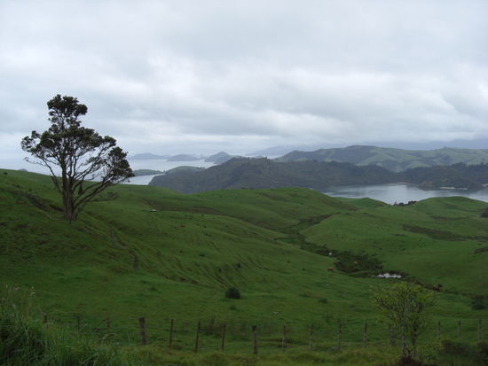 Coromandel Peninsula