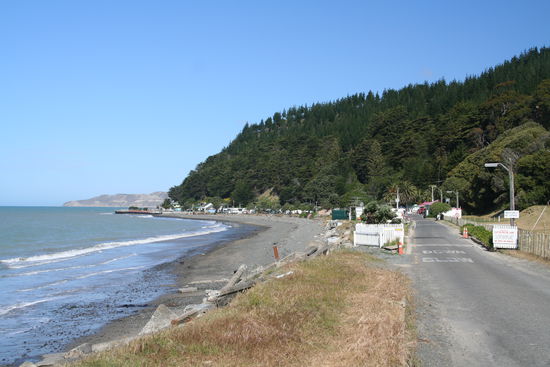 Campground (im Hintergrund Cape Kidnappers)