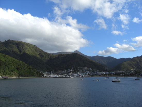 Hafen von Picton