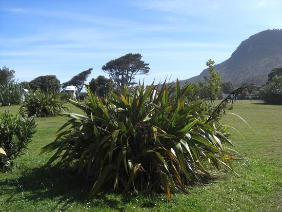 Wirklich toll gelegener Campground an den Pancake Rocks