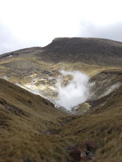 Schwefelquellen auf heiligem Maori-Grund