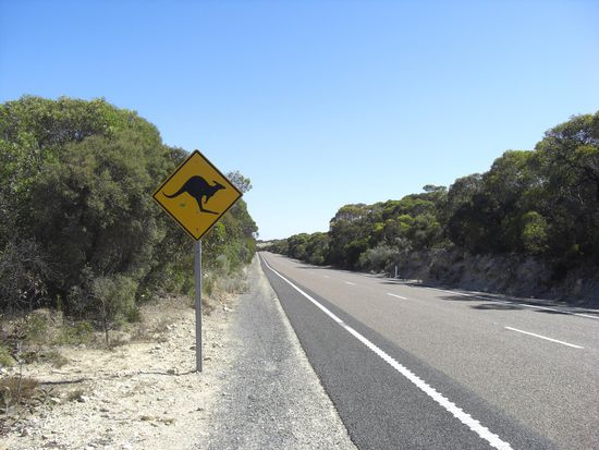 Achtung Kangaroos - Ja woooo denn?