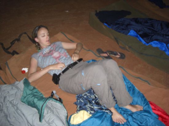 Mueder Vogel und fitter Elmo 