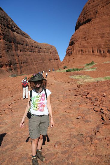 Einen schoenen Menschen entstellt nichts 