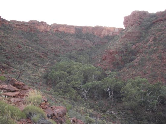 ... um dann auf dem Plateau um die Schlucht rum zu laufen!
