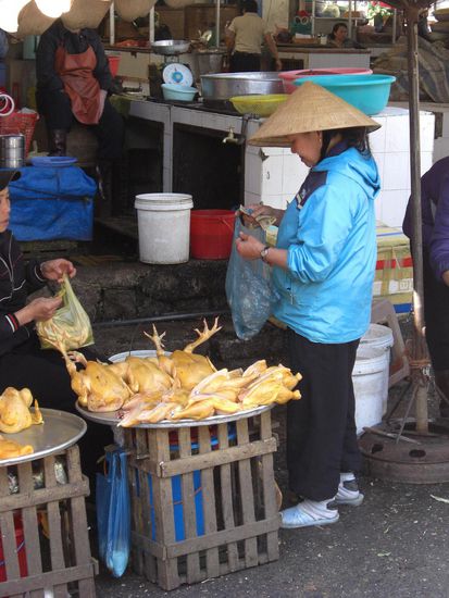 War da was mit Salmonellen? 