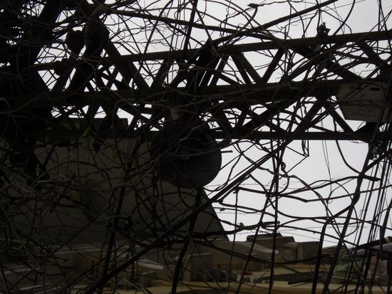 Stromleitungen auf vietnamesisch