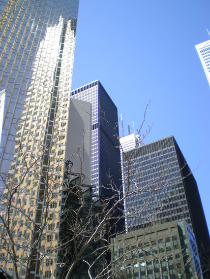 So schoen kann der Grossstadtdschungel sein!