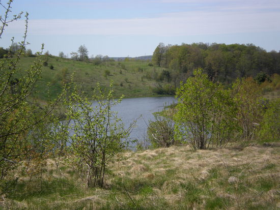 Hier die heideaehnliche Landschaft mit dem kleinen See